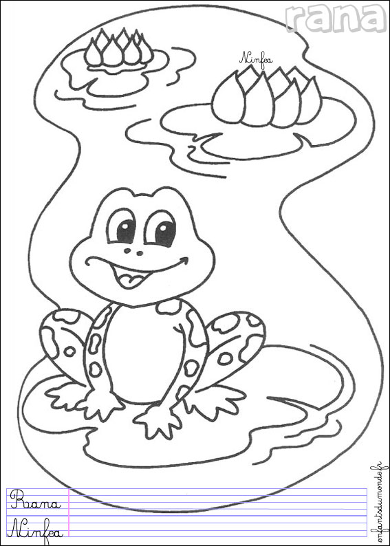 coloriage grenouille 1